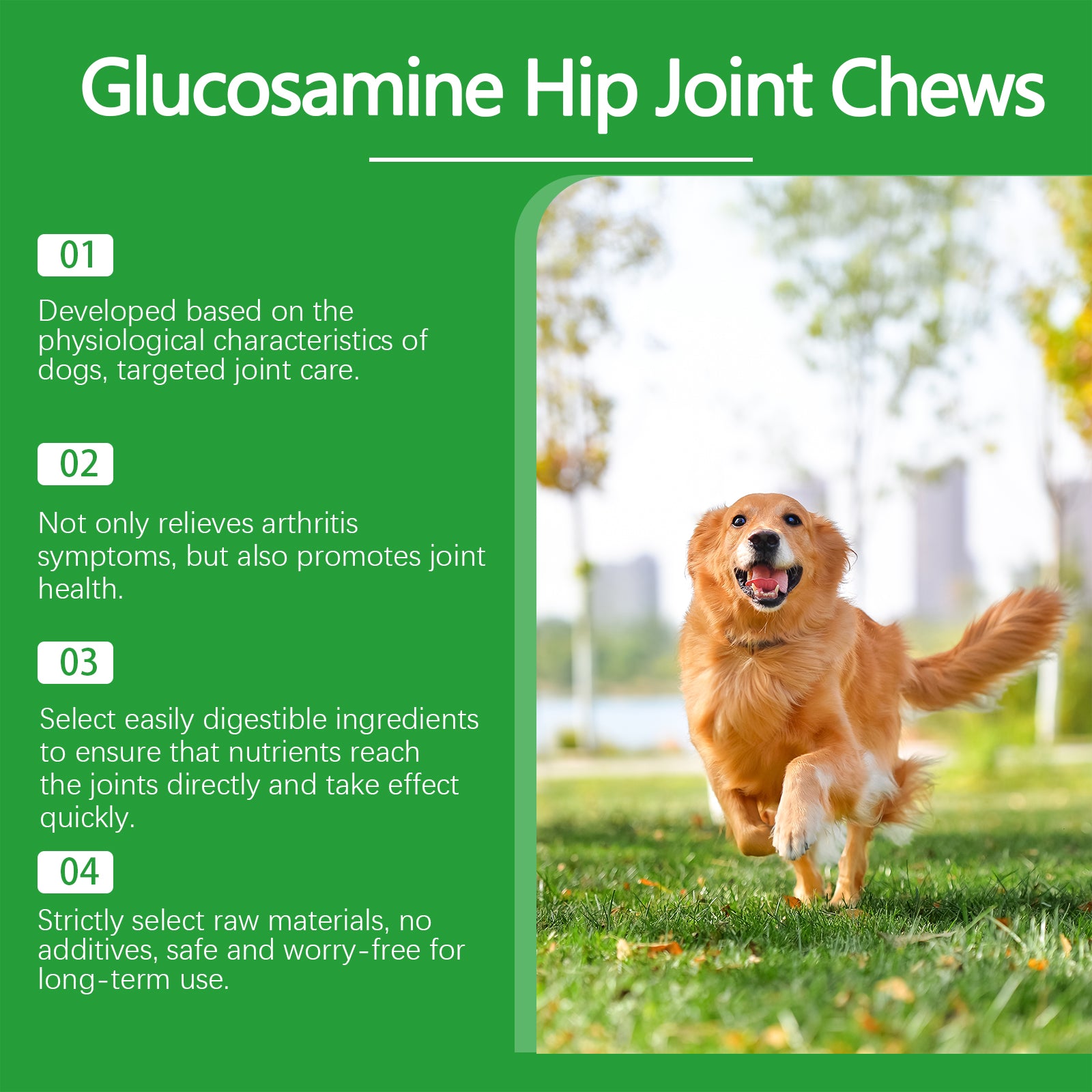 Chien Glucosamine Hip Mâches articulaires