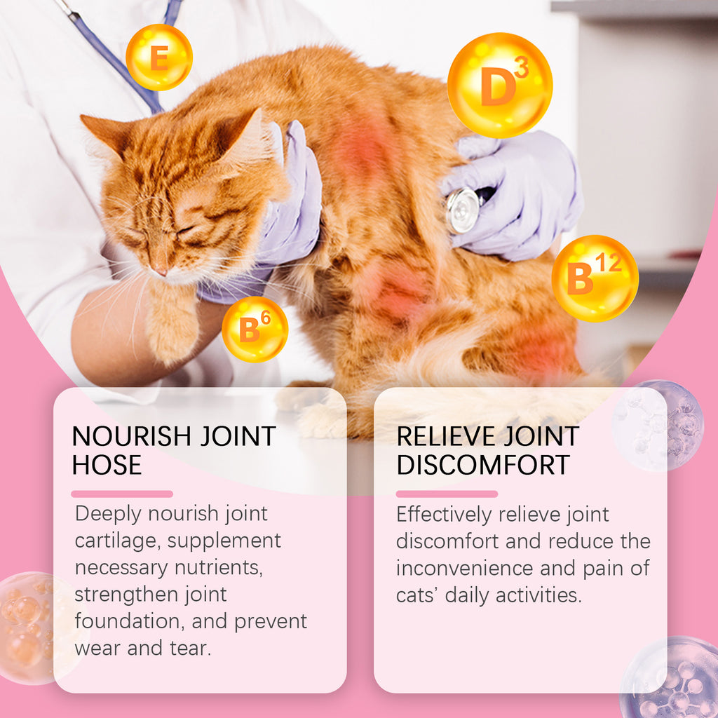 Comprimés conjoints de soutien sanitaire pour chats