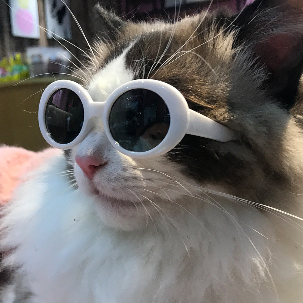 Pet Dog Cat Lunettes de soleil multicolores Cool Handsome Accessoires