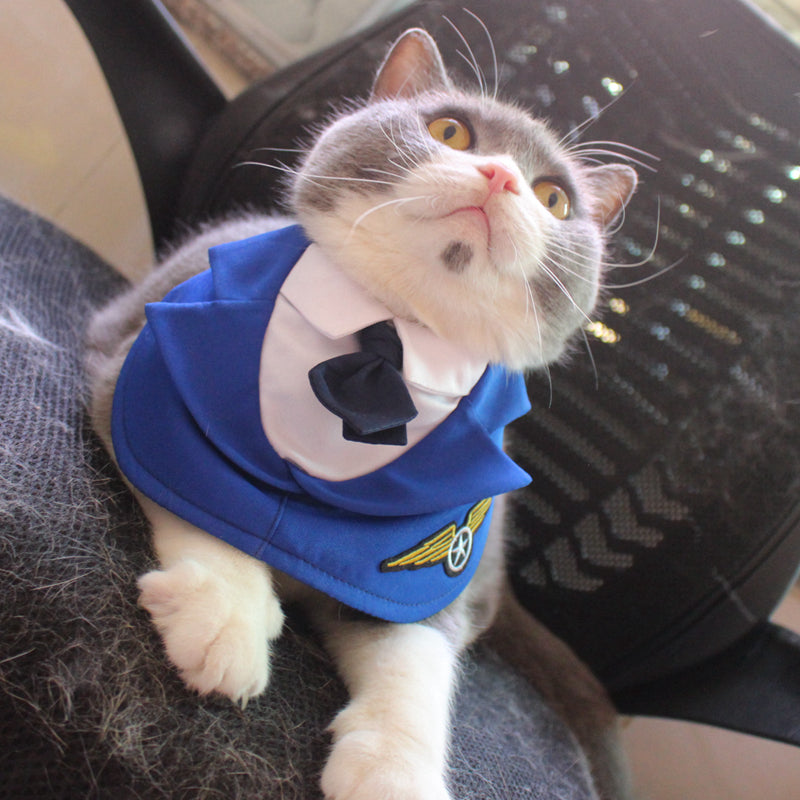 Mode Personnalisé Pet Fighter Vêtements Collier