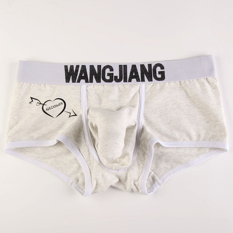 Sous-vêtements pour hommes Boxers Low Waist Coton U Convex Trunk Mode Sexy Boxers pour hommes