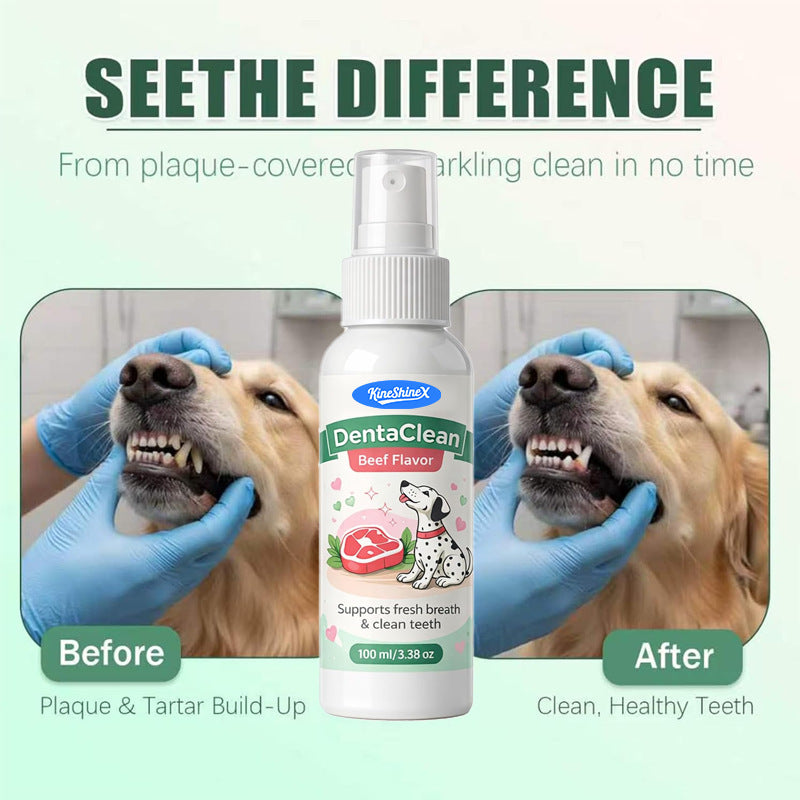 Spray dentaire Spray dentaire avancé pour soins buccodentaires
