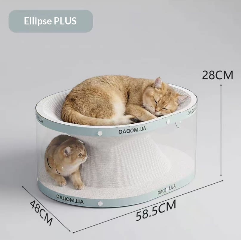 Tout-en-un Sans installation Chat Scratcher Tunnel Jouet