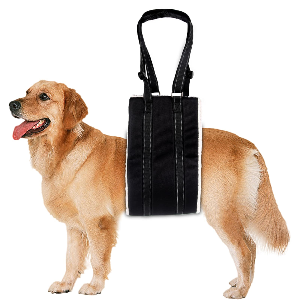 Harnais d'ascenseur de chien réglable Serre-chien portable pour jambes arrière Harnais de chien pour aînés
