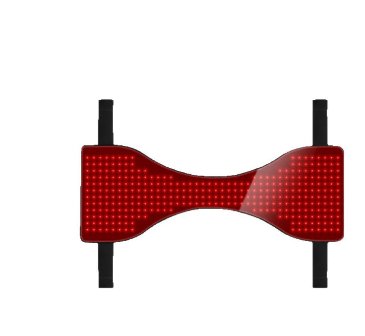High Power Portable Horse Butt Belly Leg Abdomen Back Front Leg Red Light Infrared Physiot