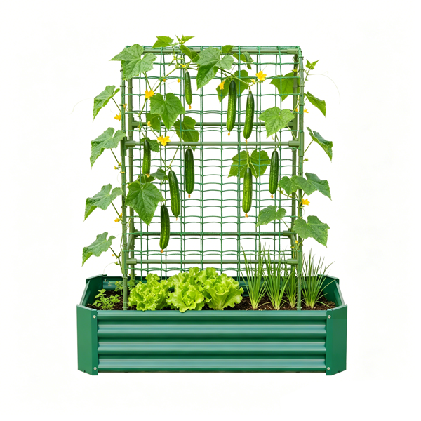 2-en-1 Lit de jardin surélevé avec Trellis - Boîte de planteur d'arc de 59 pouces pour les plantes d'escalade