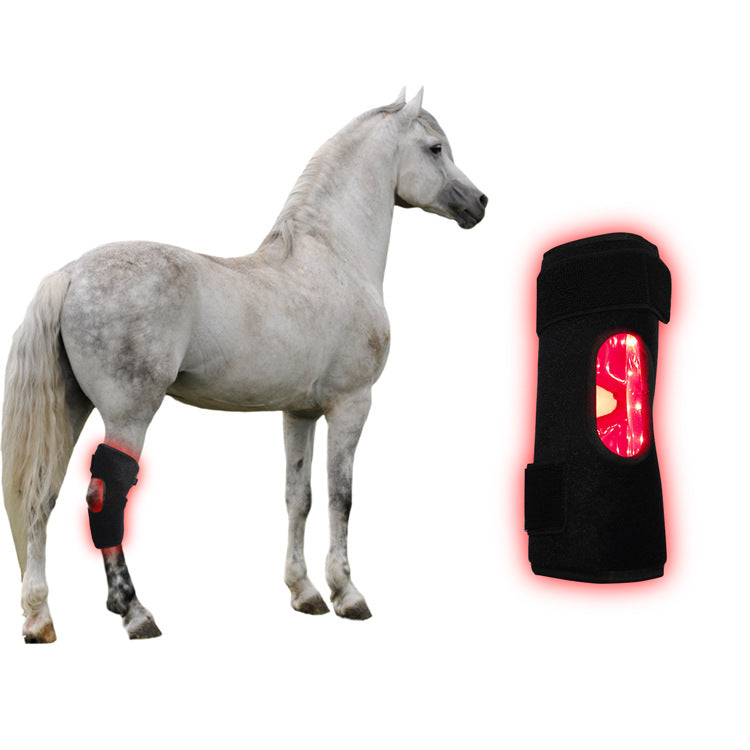 Instrument de photothérapie portable pour récupérer le genou arrière du cheval