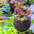 Pot en verre Aquarium pour la décoration