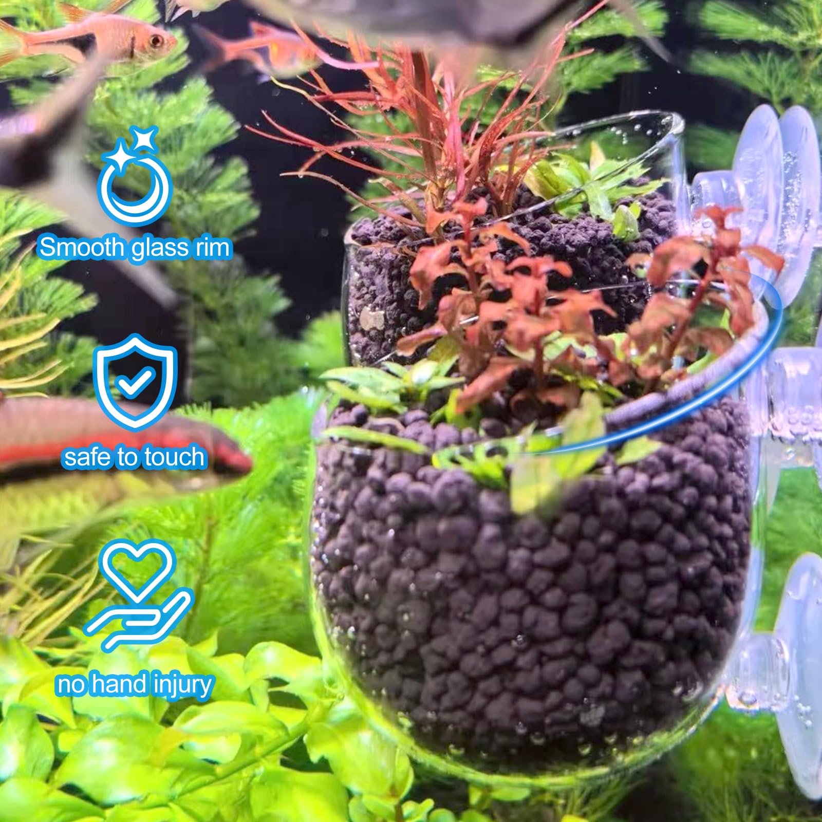 Pot en verre Aquarium pour la décoration