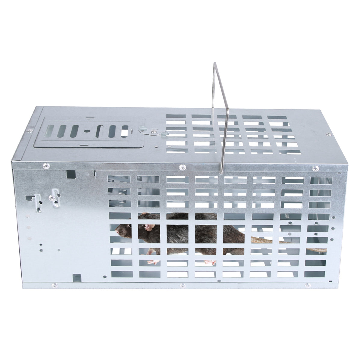 1Pc Une porte humaine Live Mouse Trap réutilisable en métal Rat Rodent Cage Catch Release Continuou