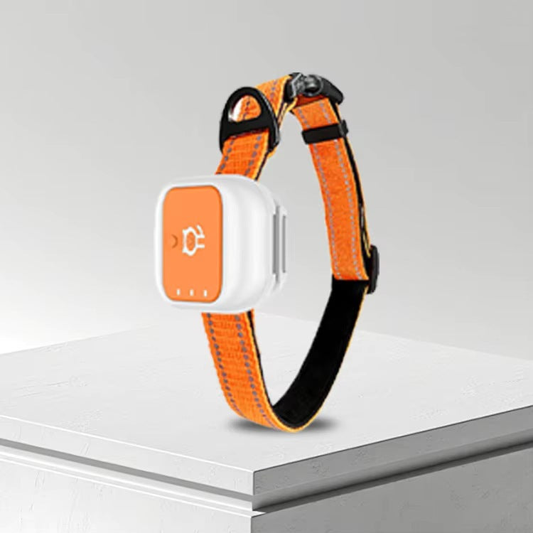 Chats et chiens de collier GPS 4G Suivi GPS en temps réel