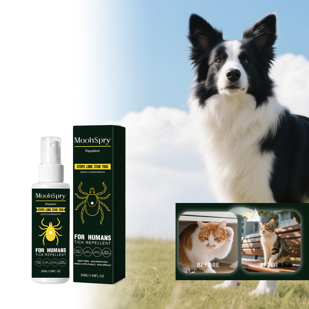 Répulsif pour animaux domestiques répulsifs pour chiens chats Peau de chien Spray externe d'application