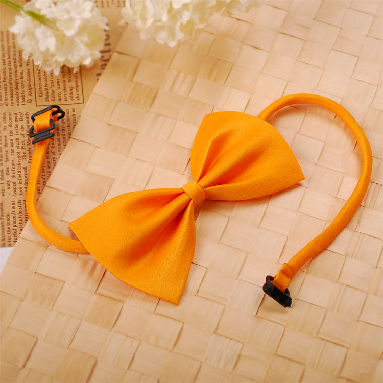 Collier pour animal de compagnie en couleur solide simple