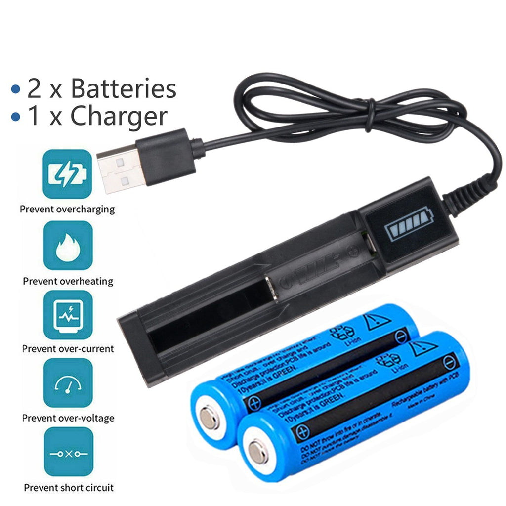 Batterie Li-ion et chargeur 3000mAh 3.7V Chargeur Lithium rechargeable USB pour torche F