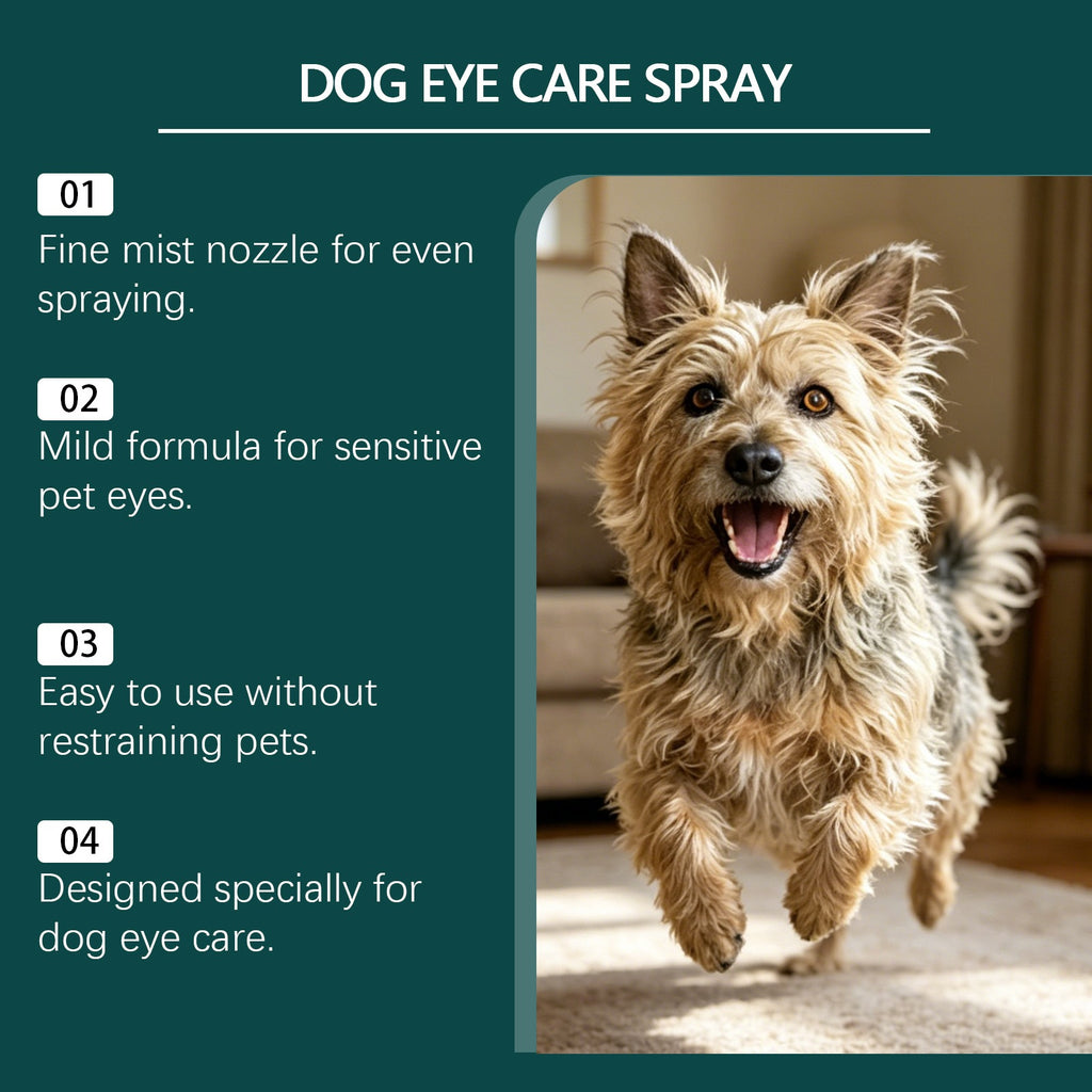 Spray pour soins aux yeux des chiens