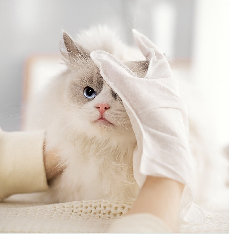 Nettoyage à sec Désinfecter le papier Déodorant Aliments pour animaux Gants jetables pour animaux