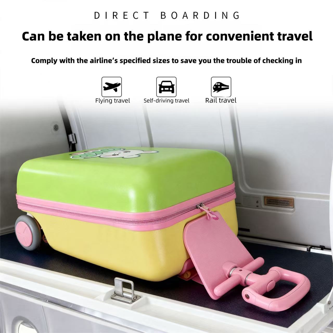 Valise amovible de 20 pouces