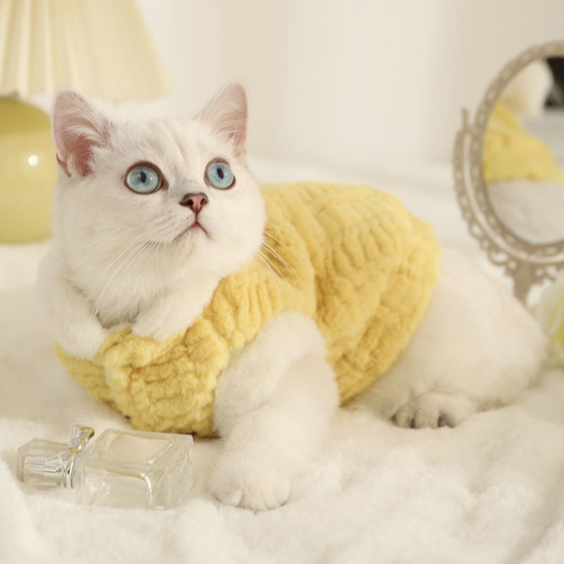 Vêtements de chat pour animaux de compagnie