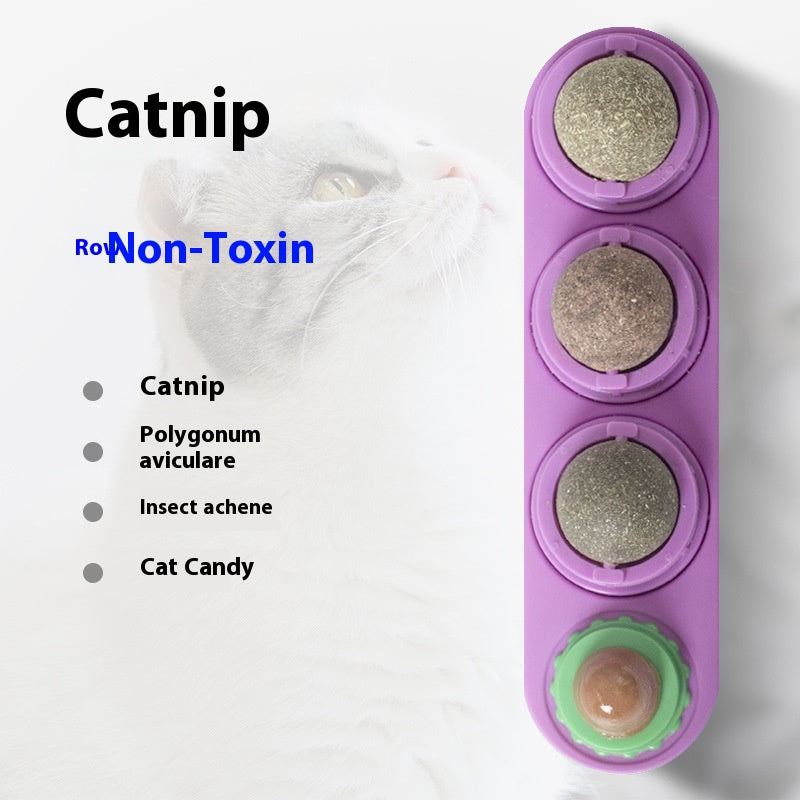 Tasses de jouet de chat Molar Longue durée Pet Supplies