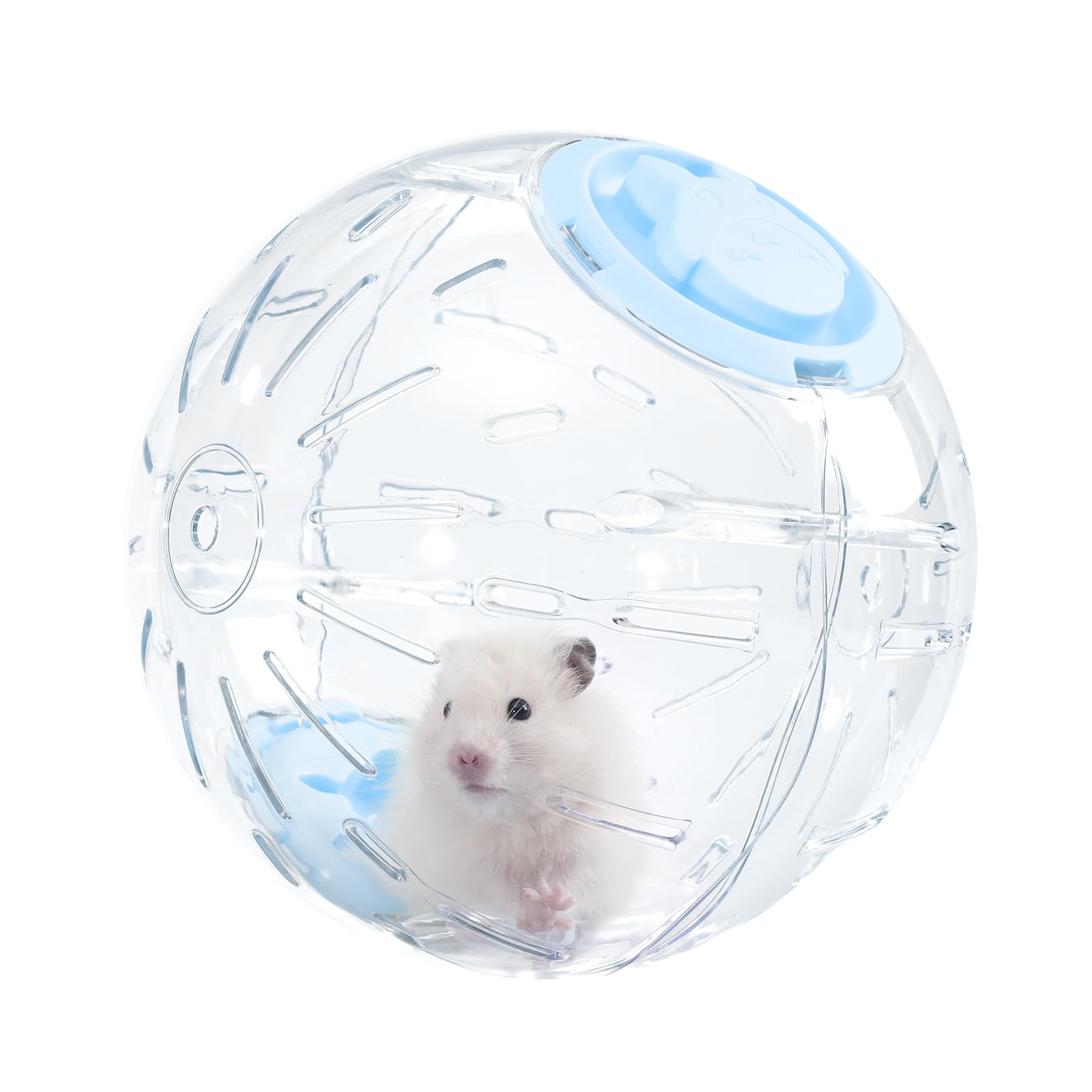 Balle de hamster de 7.9 pouces