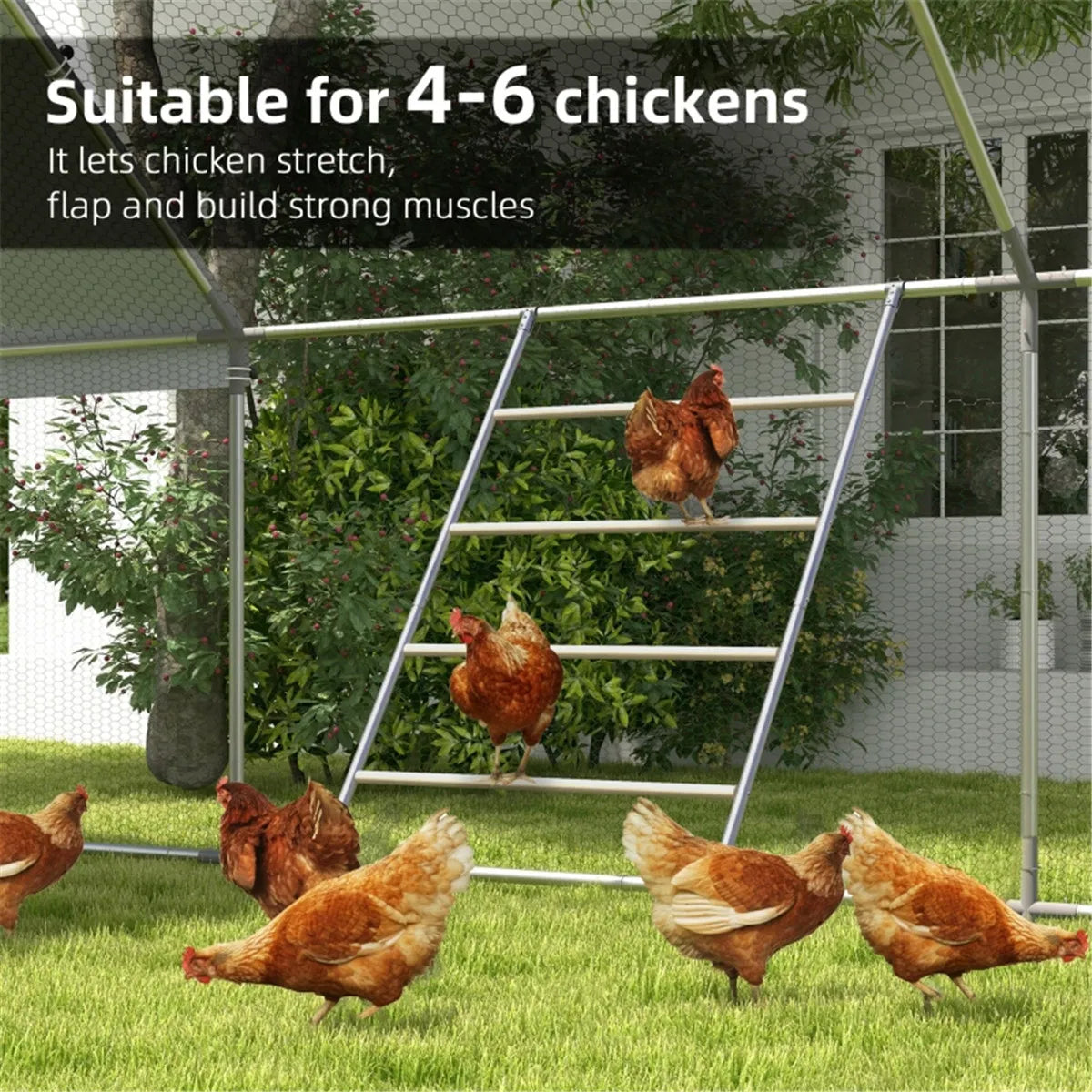 Jouets en bois de poulet