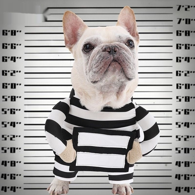 Costume de prisonnier de chien d'Halloween personnalisé
