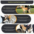 Retractable Harness for Dog Rehabilitation