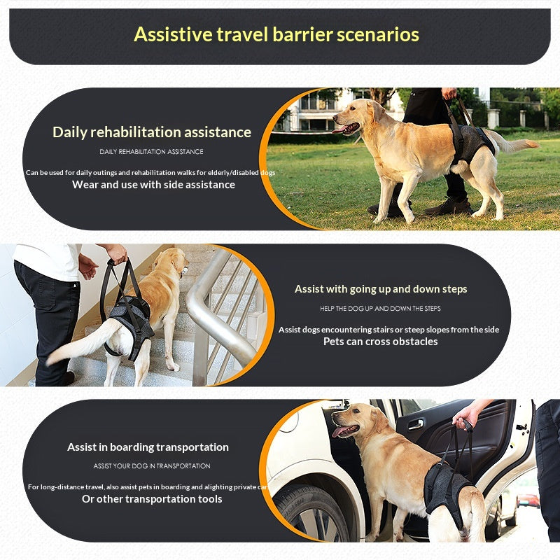 Retractable Harness for Dog Rehabilitation
