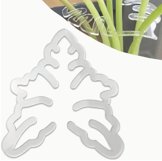 Plant pliant cadre-conical-1 pièce