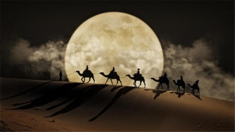 Desert Moon nuit mur d'art poster toile peinture