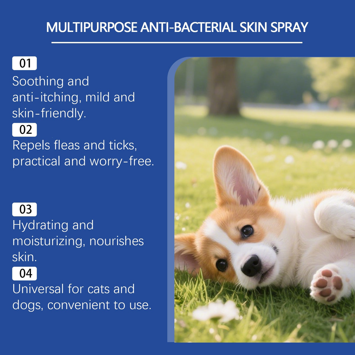 Eeljoy Pet Spray de soins de la peau multi-effets Texture douce et confortable pour la peau quotidienne