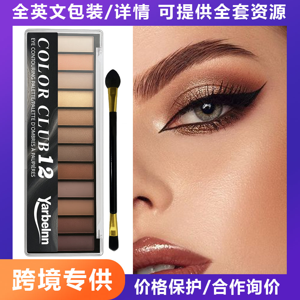 12 nuances Matte Cement foncé Smoky Eyeshadow Palette