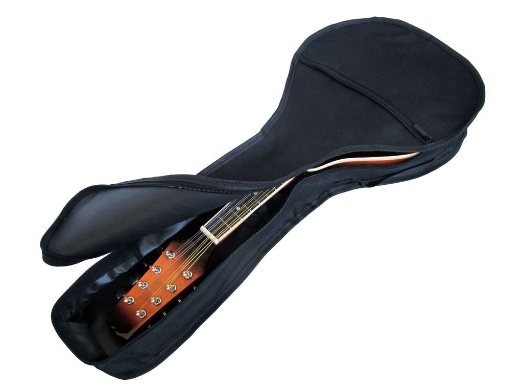 Sac Mandolin unique Sac Mandolin type A