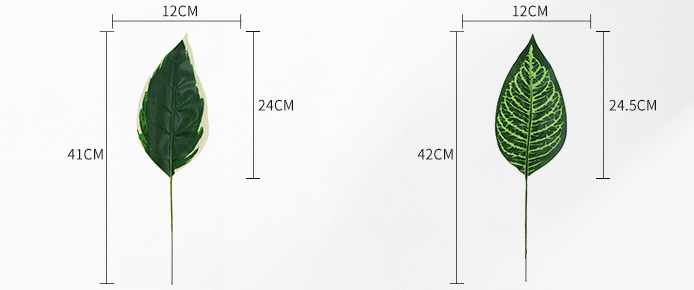 Plante de simulation des feuilles de tortue