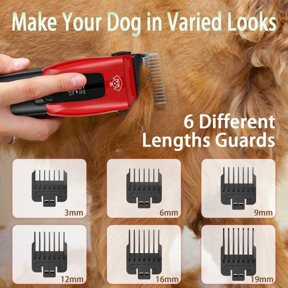 Clipper professionnel pour chiens et chats