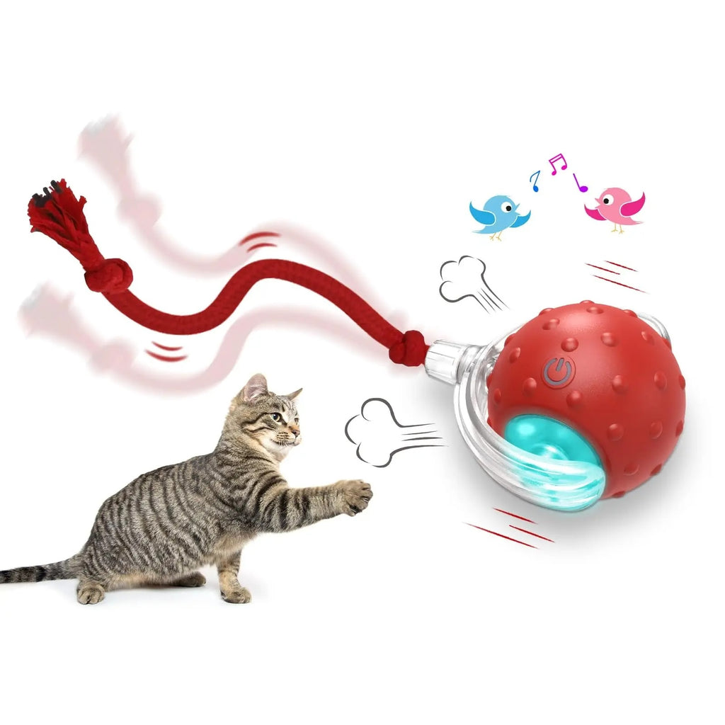 Avocat Cat Mint Multifonctionnel Catnip Toy 360 Rotation Auto-guérison Artefact Pet Supplie