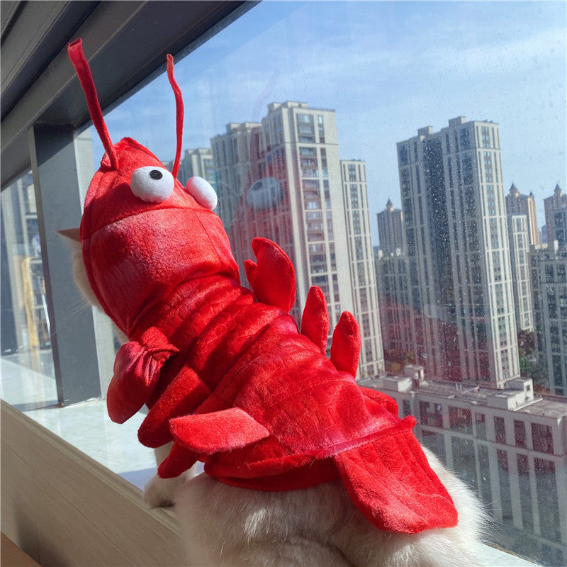 Halloween Cat Lobster Vêtements Année Noël