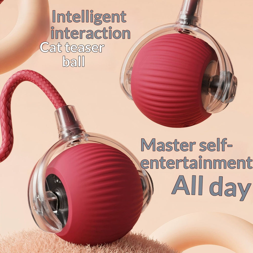 Auto-amusant Boredom-relief Gadget Pet Supplies Dog