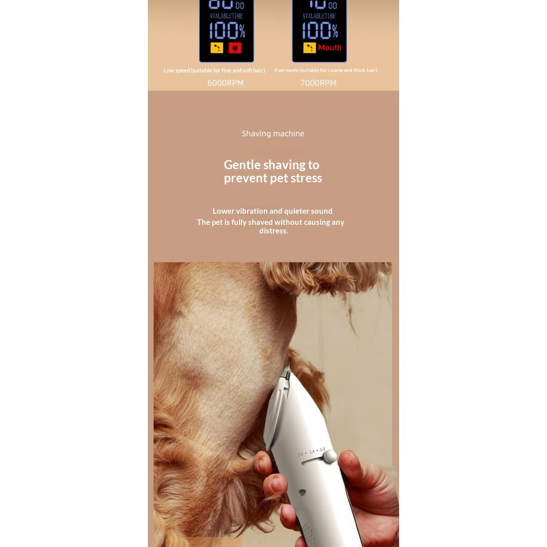 Clipper pour chien