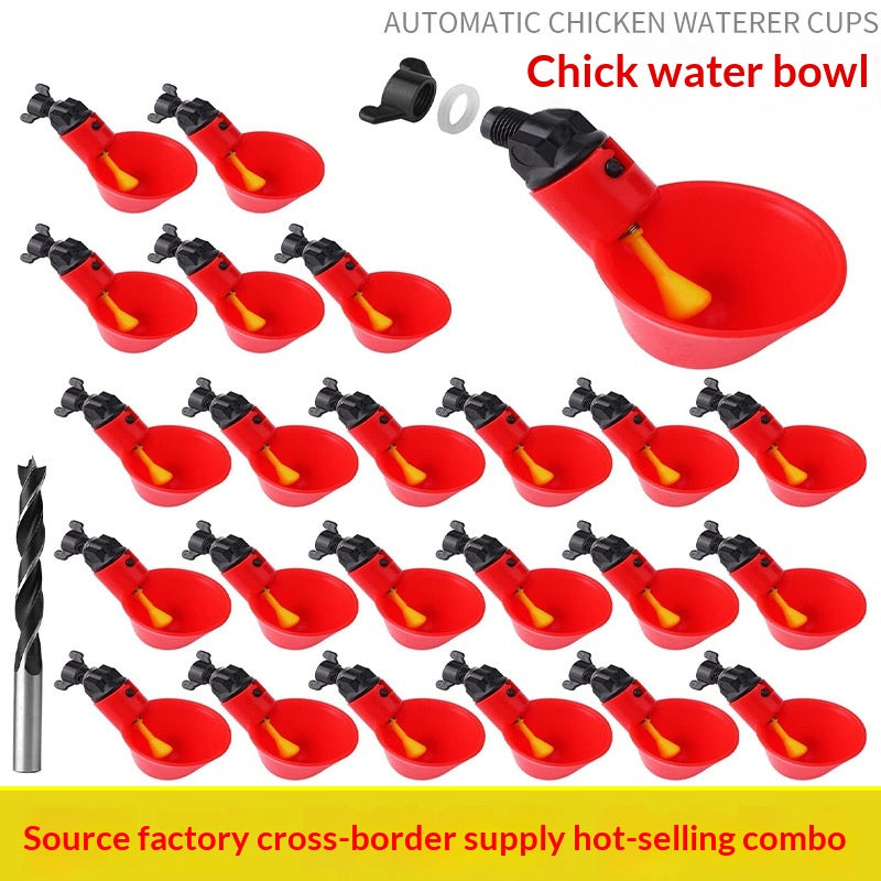 Poulet Bol d'eau Poulet Bateau Automatique Poulet