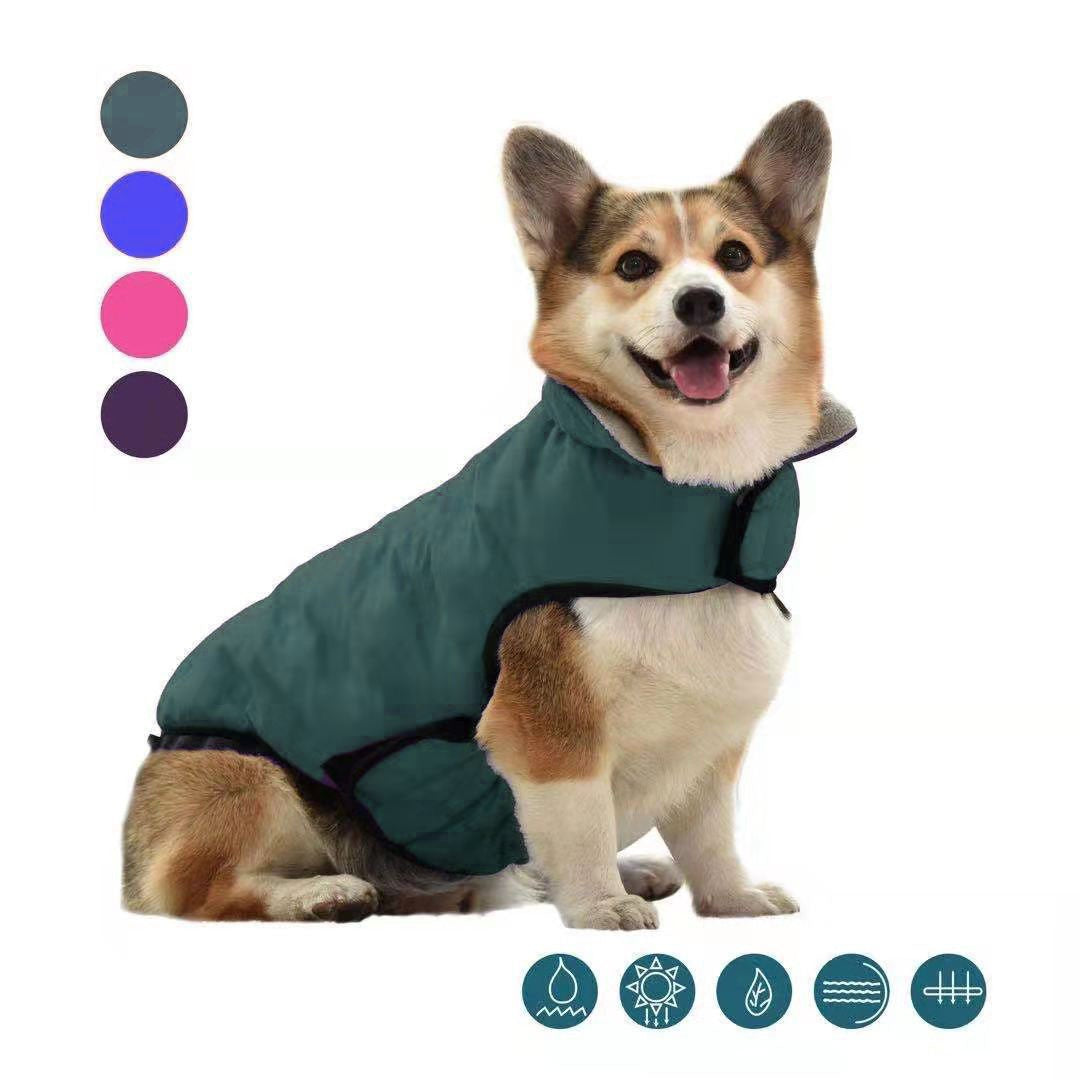 Vêtements de chien d'automne et de coton d'hiver