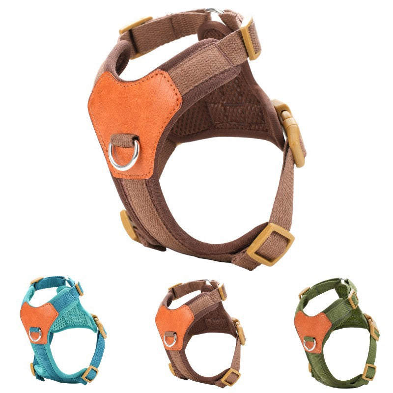 Harnais retro pour chien tenant la main