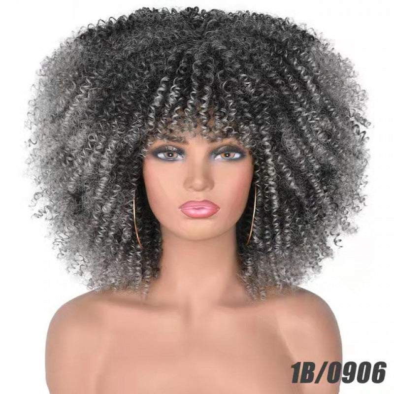 Coiffure africaine pour petites cheveux bouclés