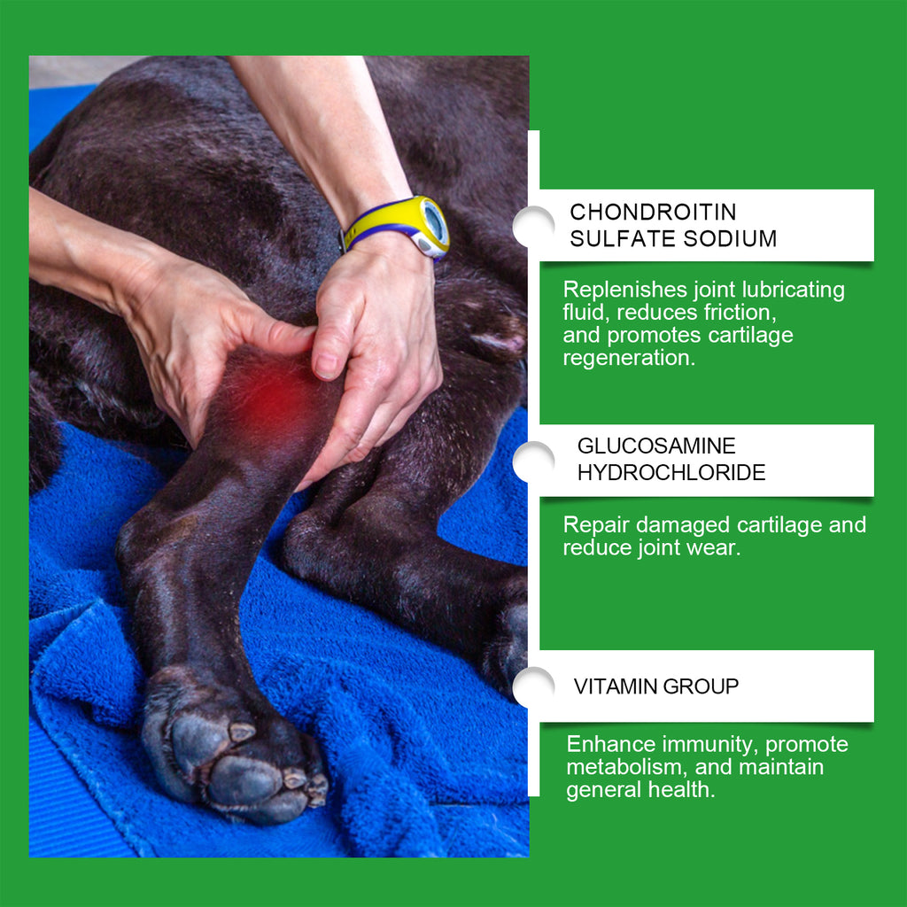 Chien Glucosamine Hip Mâches articulaires