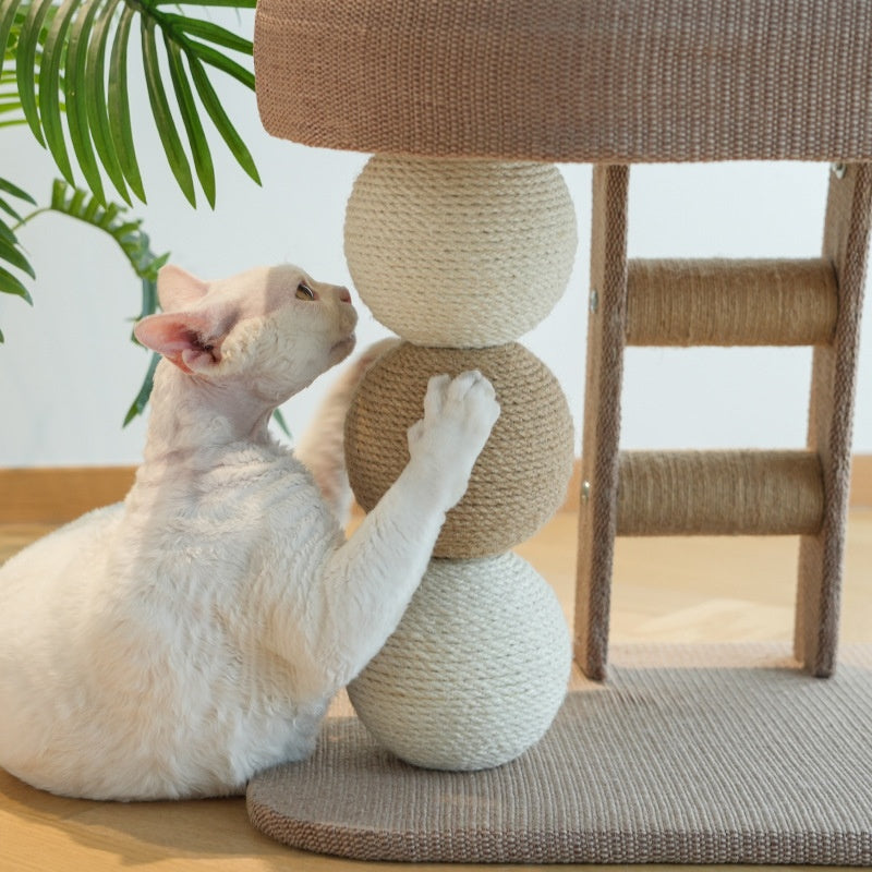 Arbre de chat pour les petits appartementsprendre beaucoup d'espace
