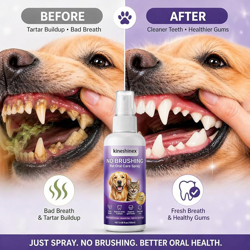 Oral care Mouth spray for oral care
