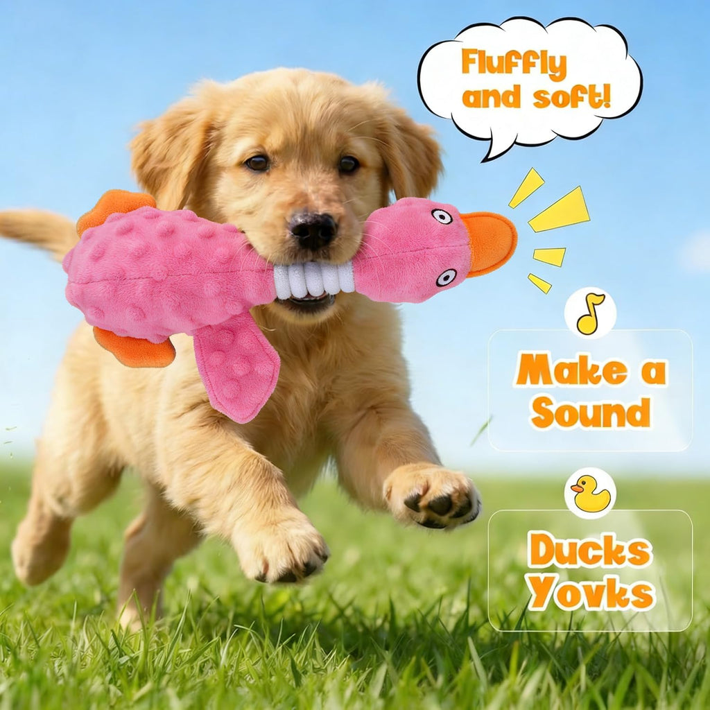 Jouets de chien pour chewers agressifs
