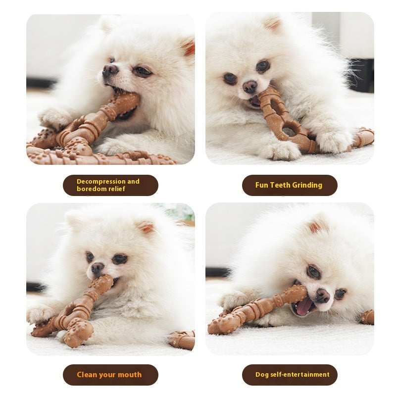 Jouet de chien en os Molar Rod Nettoyage des dents résistant aux piqûres Self-hi