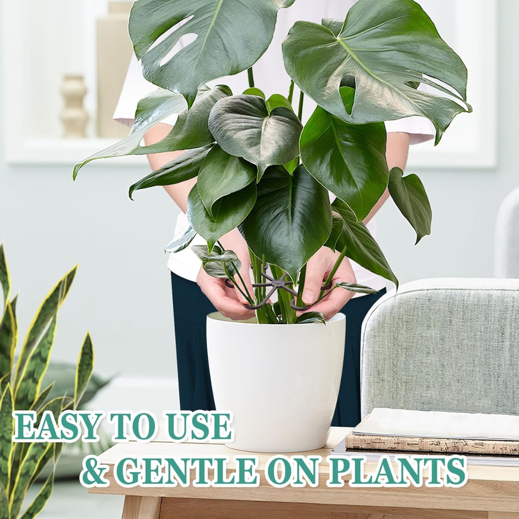 Tuteurs pour plantes d'intérieur — 8 supports réutilisables