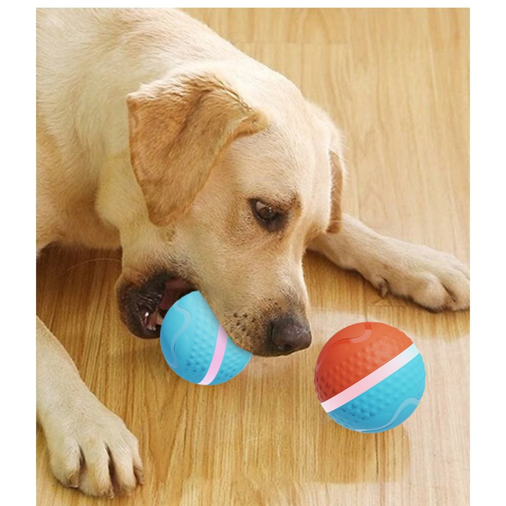 Jouet de chien de boule électrique lumineux et de chat